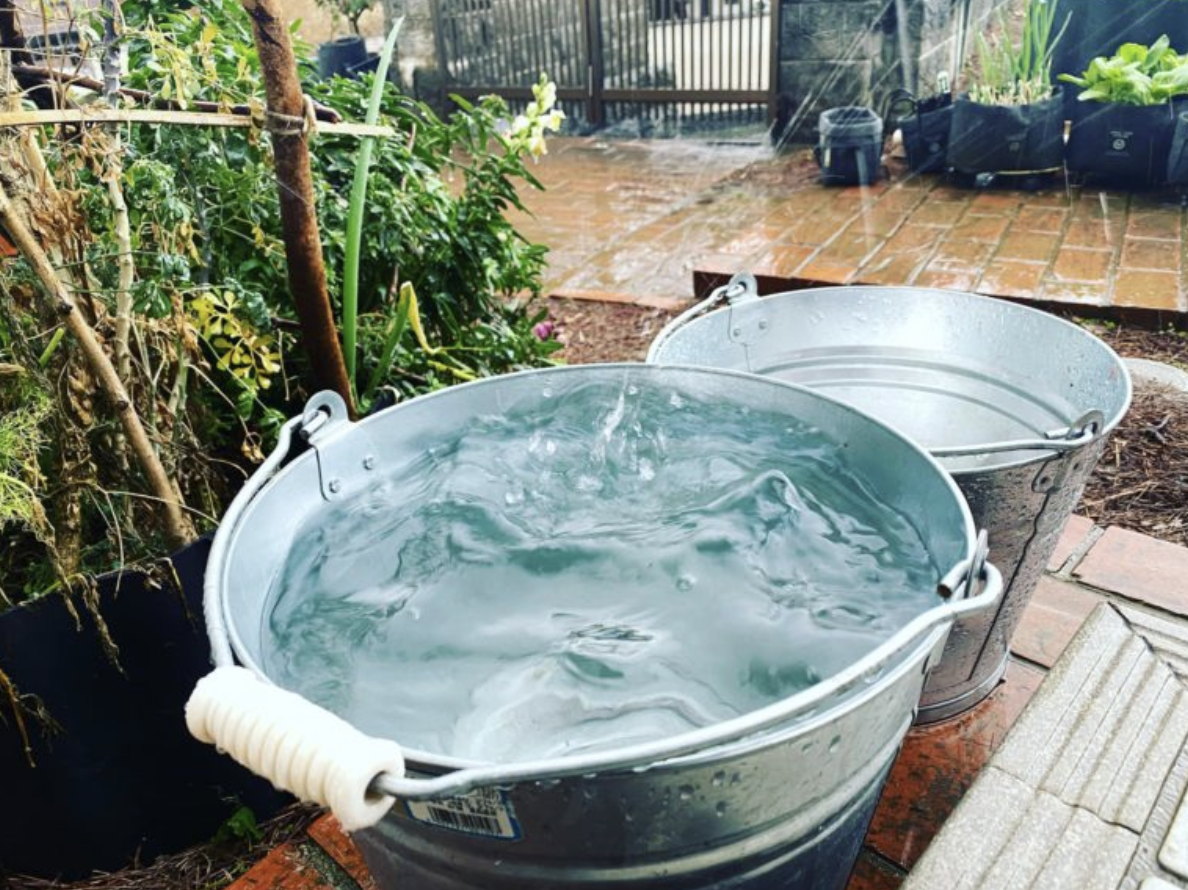 雨水も資源!LFCコンポストとあわせて取り入れたい、雨水活用のススメ