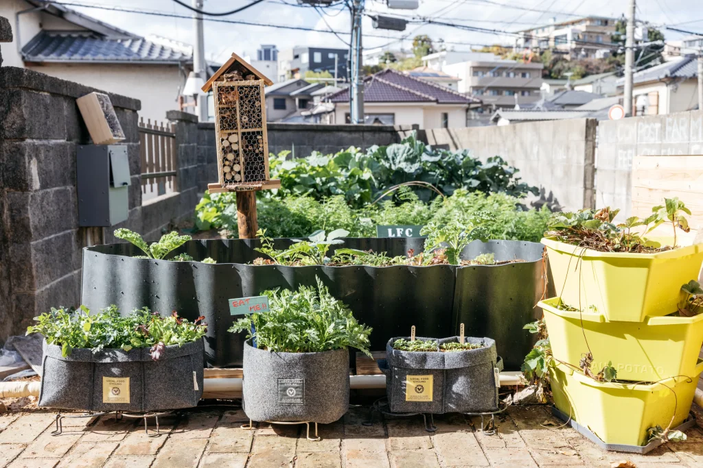 家庭菜園は計画が大事！