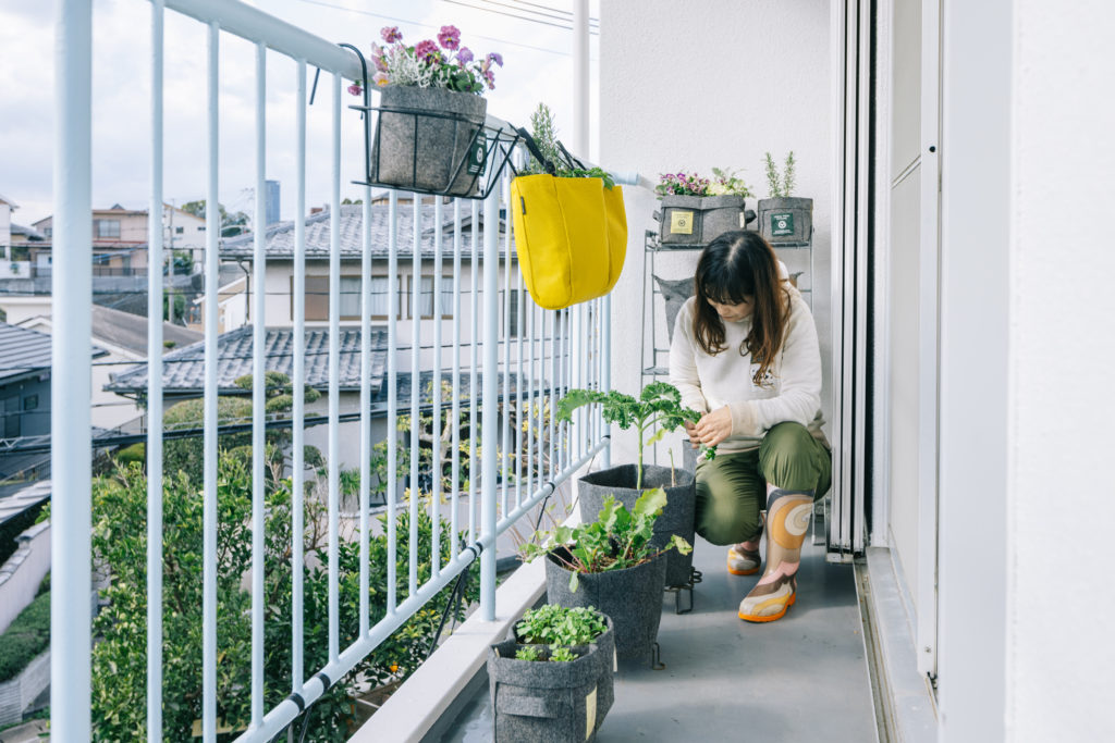 プランターを使った家庭菜園の魅力