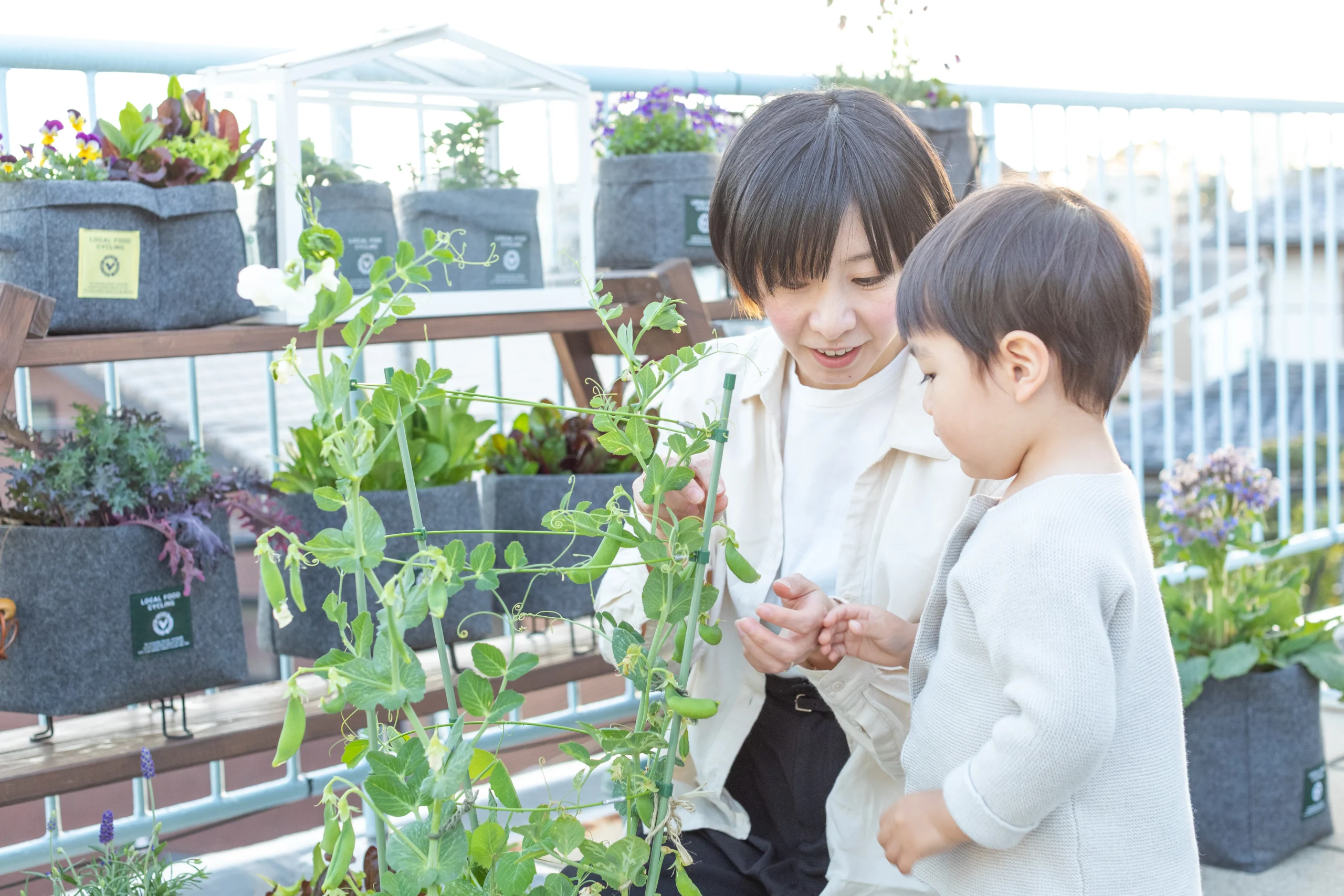 非常食に野菜を取り入れる方法6選~災害時に役立つ備えを紹介~