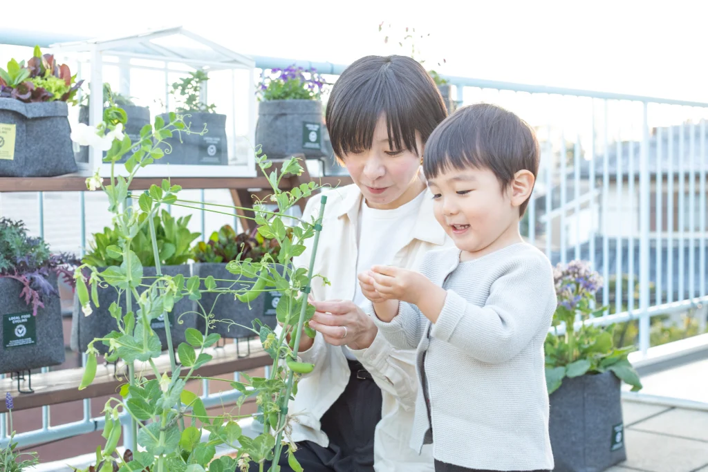 災害時に役立つ「コンポスト × 家庭菜園」
