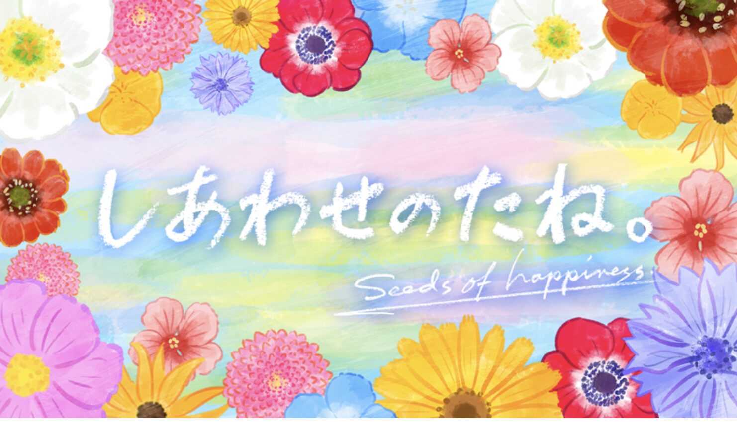 テレビ朝日　しあわせのたね
