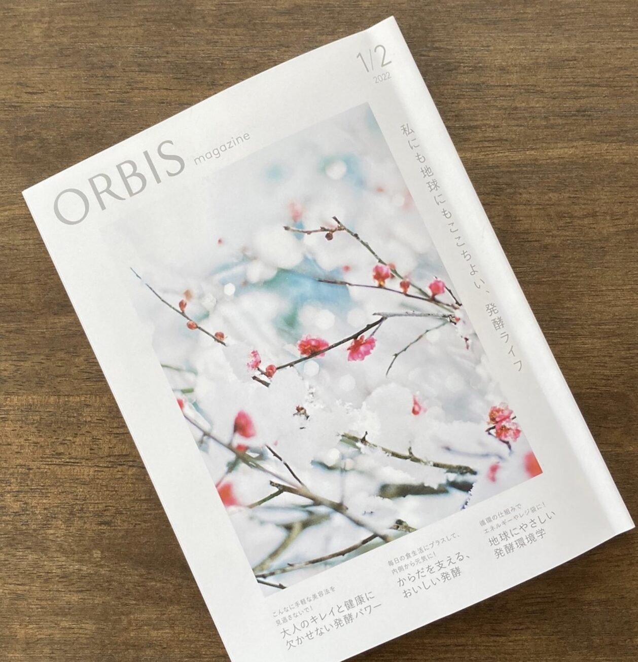 ORBISmagagine 2022年1,2月号