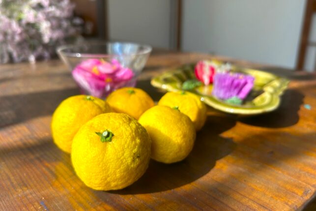 カルチャーデザイン部だより〜冬の万能果実、ゆず