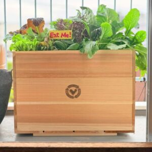 LFCレイズドベッド