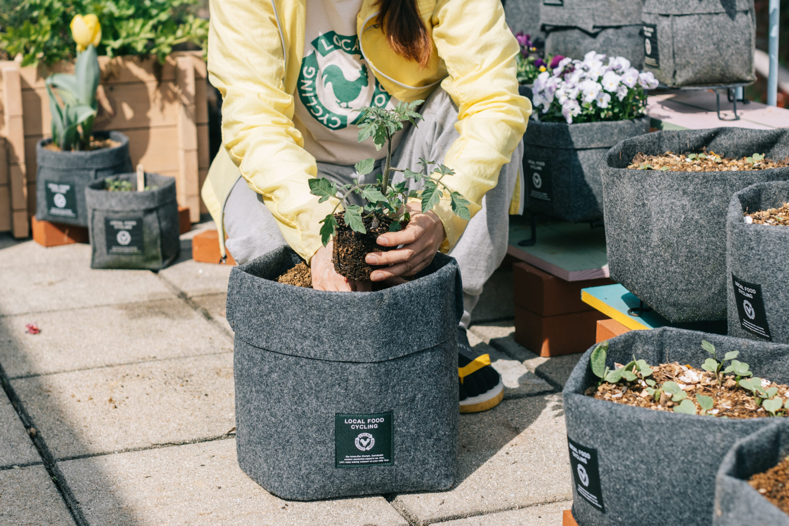 カルチャーデザイン部だより〜ベランダでできる はじめての苗づくり