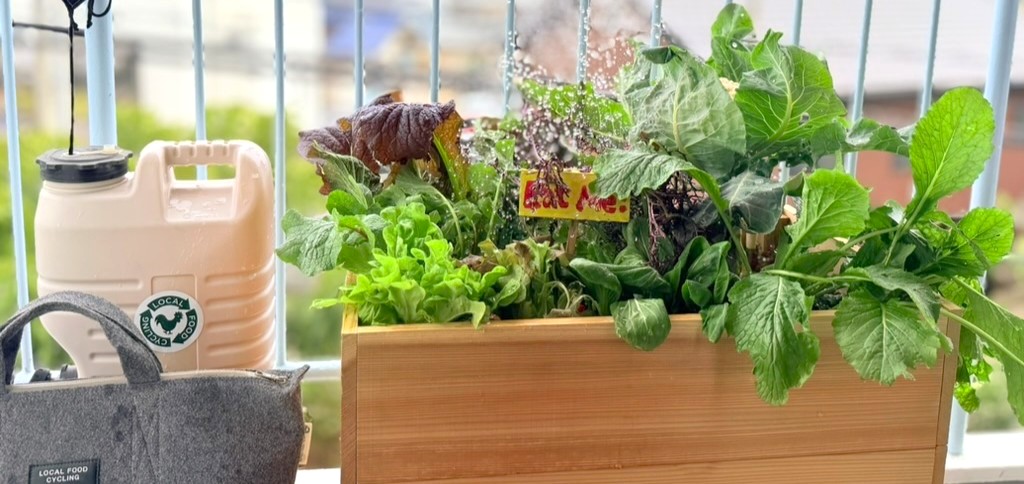 今年の春、LFCレイズドベッドで広がる「循環生活」の仲間たちの声