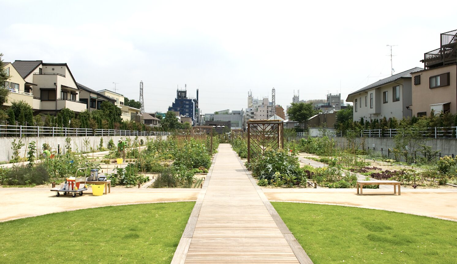【LFCユーザー限定】世田谷区・成城の駅チカ菜園で、あなたの堆肥で野菜を育てよう